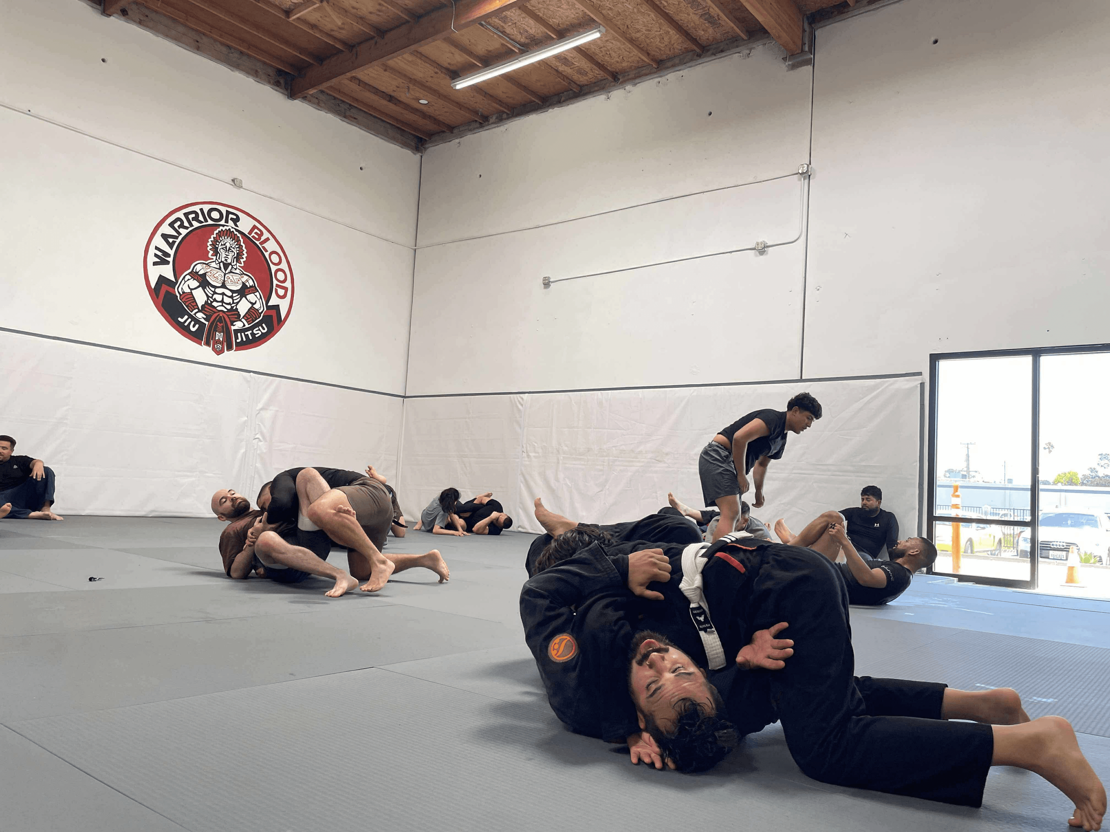 Adult BJJ class
